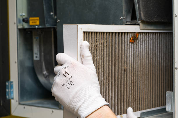 Best HVAC Maintenance and Cleaning  in Los Angeles, CA