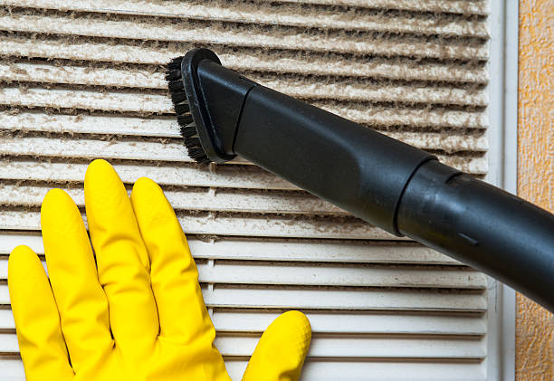 Best Professional Duct Cleaning Services  in Los Angeles, CA